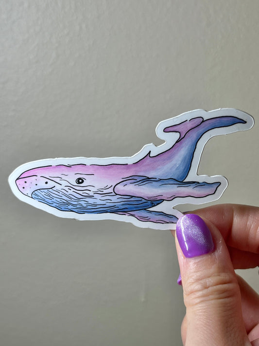 Dream Whale