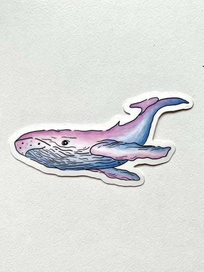 Dream Whale