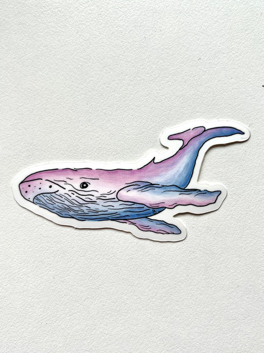 Dream Whale