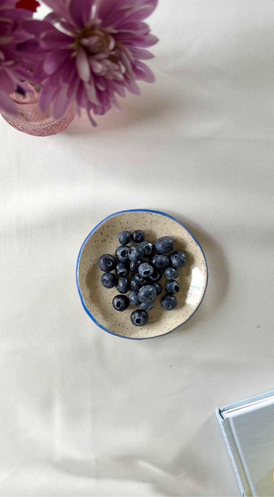 Blue - Have you eaten dish