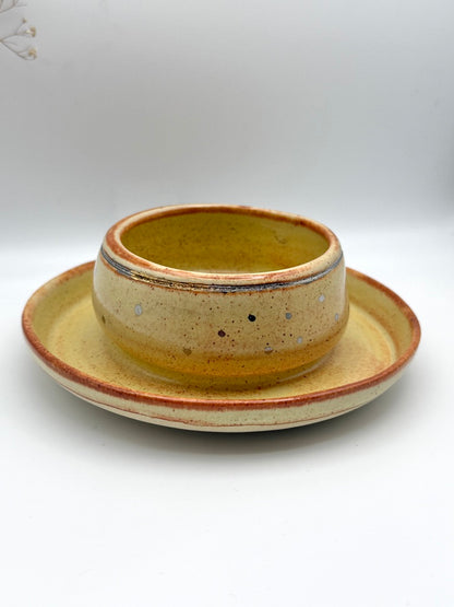 Silver luster bowl