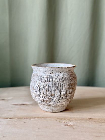 Birch