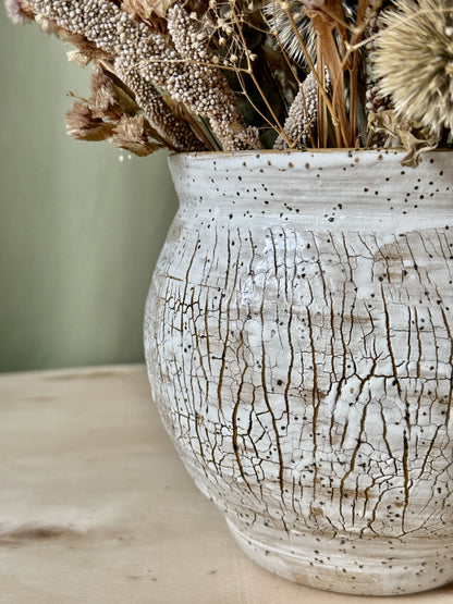 Birch