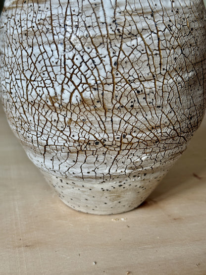 Desert Aspen