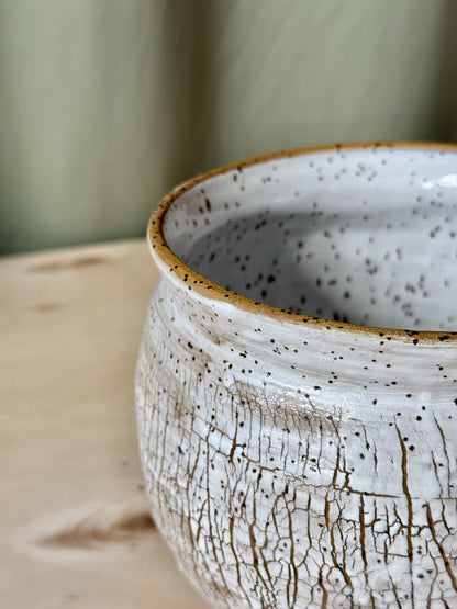 Birch