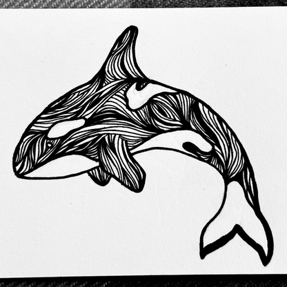 Orca Sticker